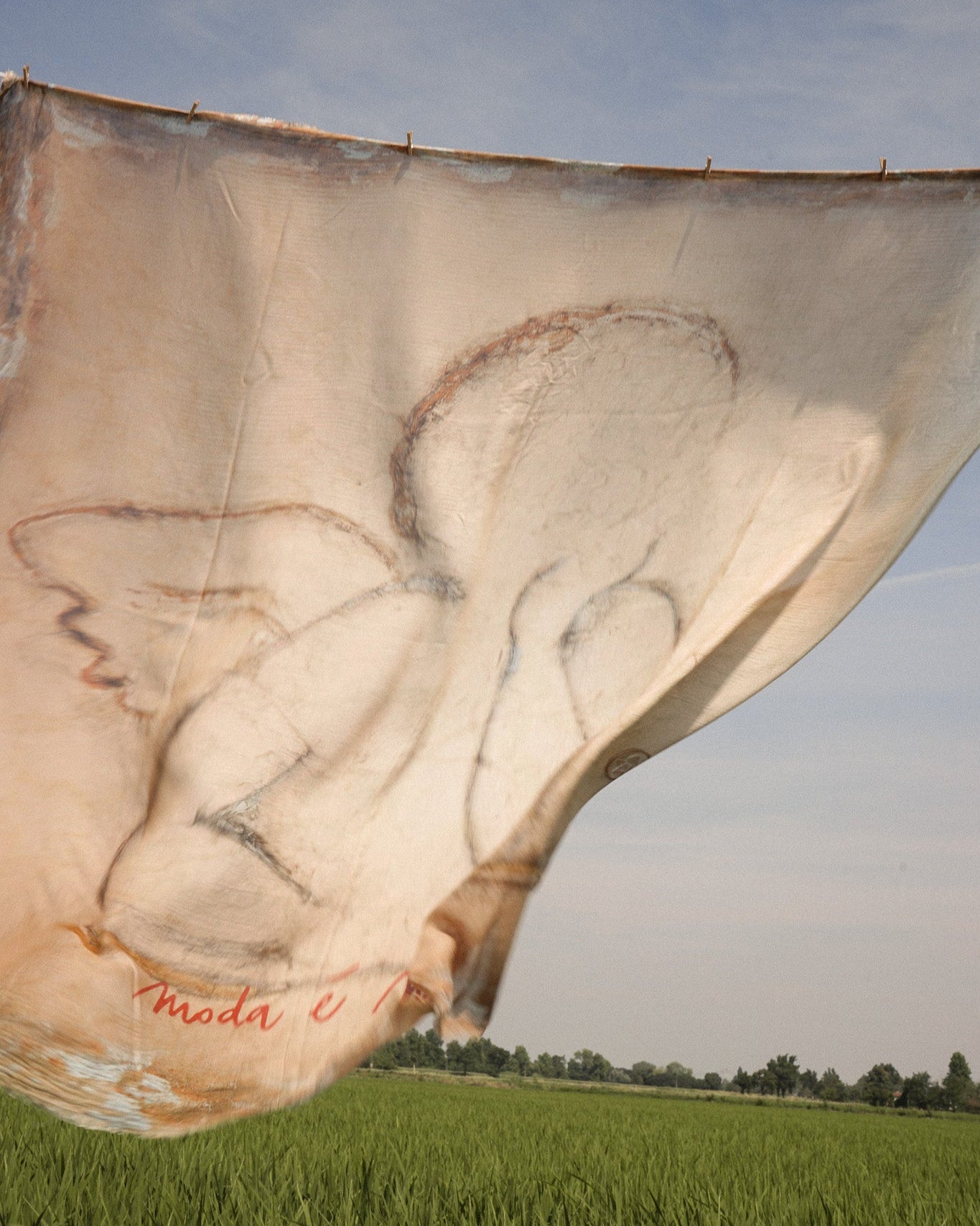 Shawl Angel Large